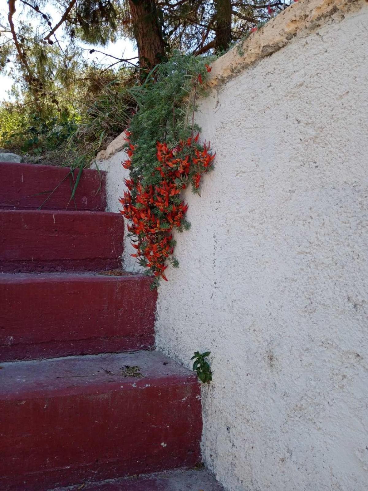 Villa Phyllia, Knossos, Crete Екстериор снимка