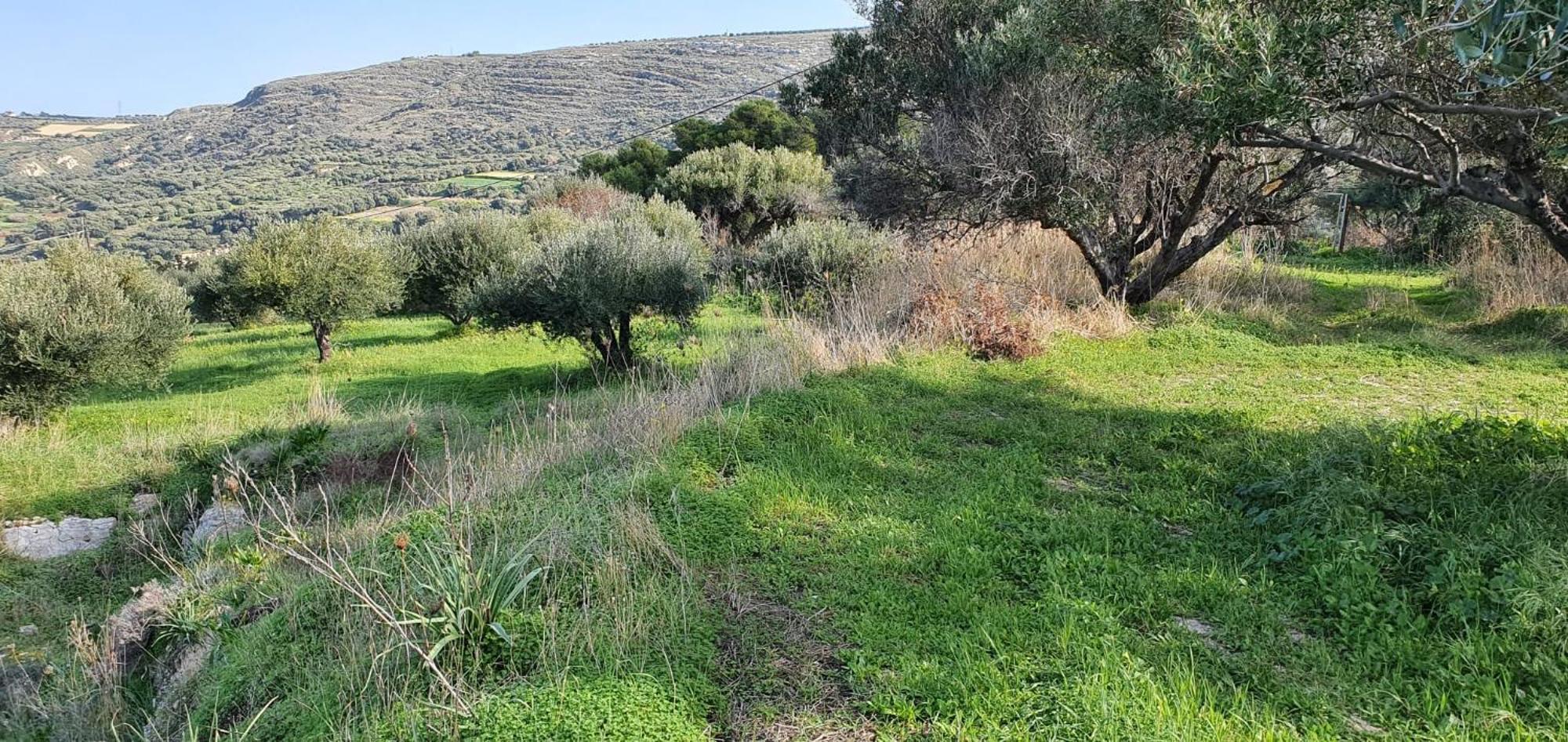 Villa Phyllia, Knossos, Crete Екстериор снимка