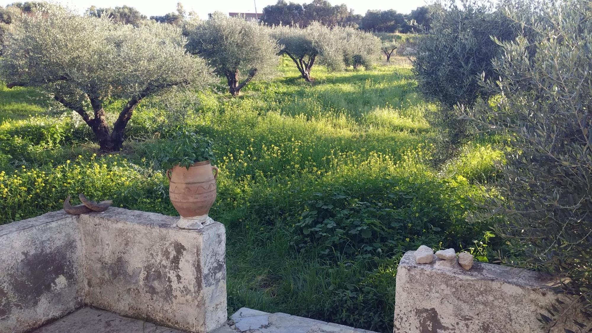 Villa Phyllia, Knossos, Crete Екстериор снимка